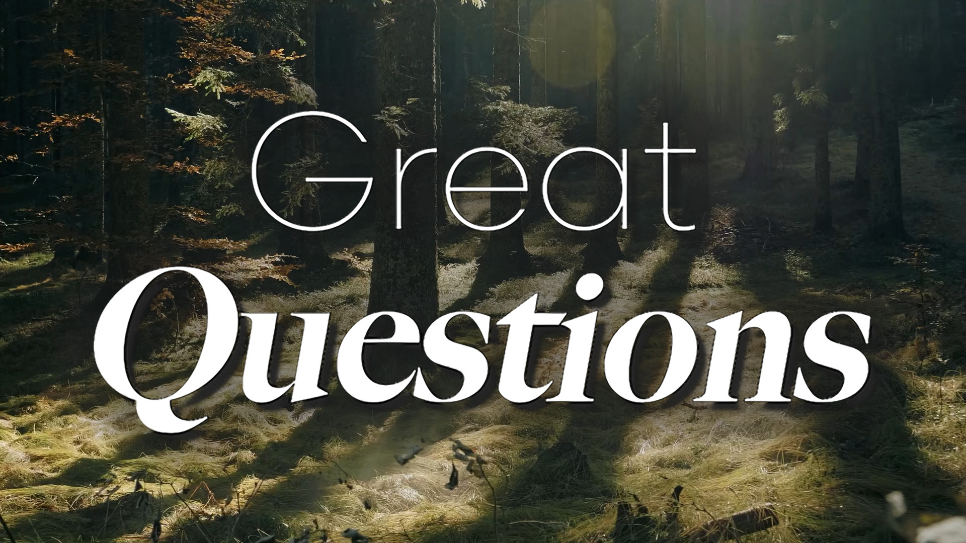 Great Questions